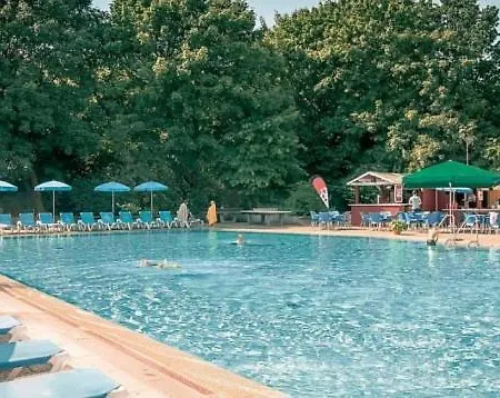 Waldstrandnest Mit Weitblick *